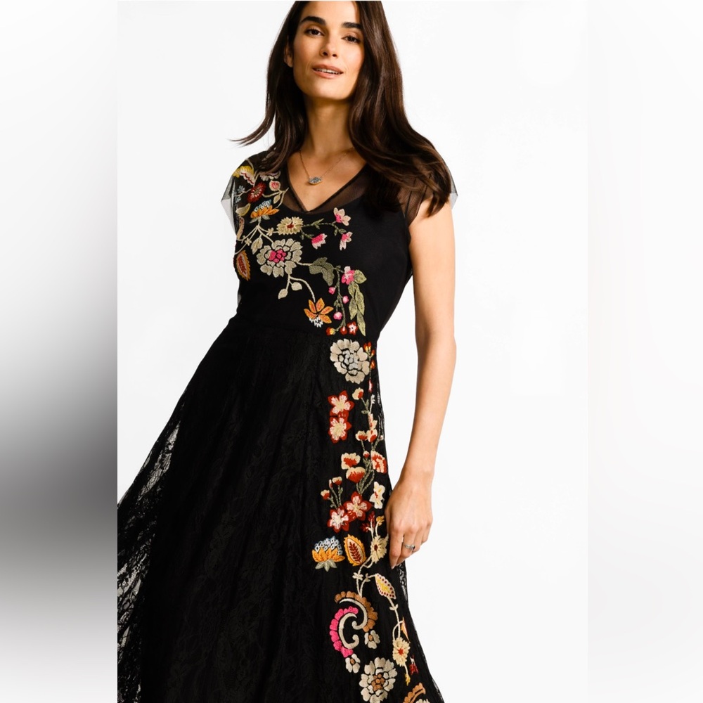 Johnny Was – Mertina Embroidered Mesh Dress 💖
Brand new with tags 🏷️